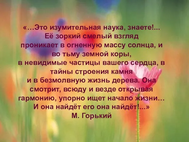 Учитель химии МОУ СОШ №7 г. Сыктывкара Н.О. Полле «…Это изумительная наука,