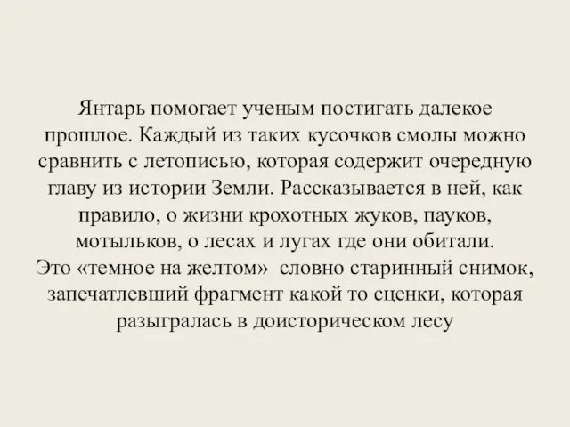 Янтарь помогает ученым постигать далекое прошлое. Каждый из таких кусочков смолы можно