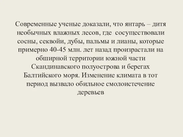 Современные ученые доказали, что янтарь – дитя необычных влажных лесов, где сосуществовали