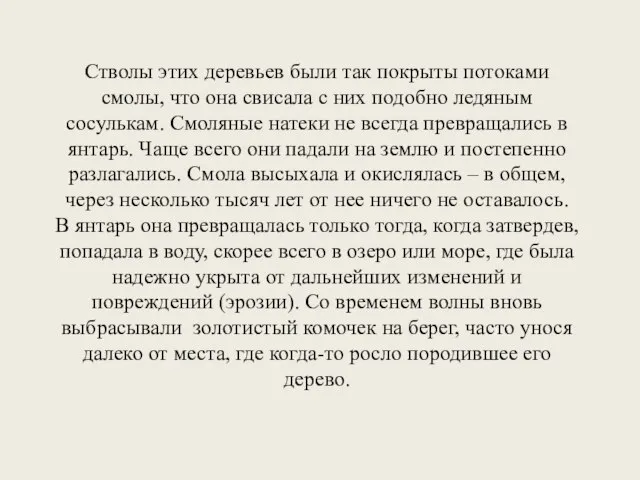 Стволы этих деревьев были так покрыты потоками смолы, что она свисала с