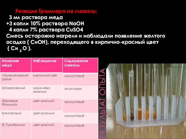 Реакция Троммера на глюкозу: 3 мл раствора меда +3 капли 10% раствора