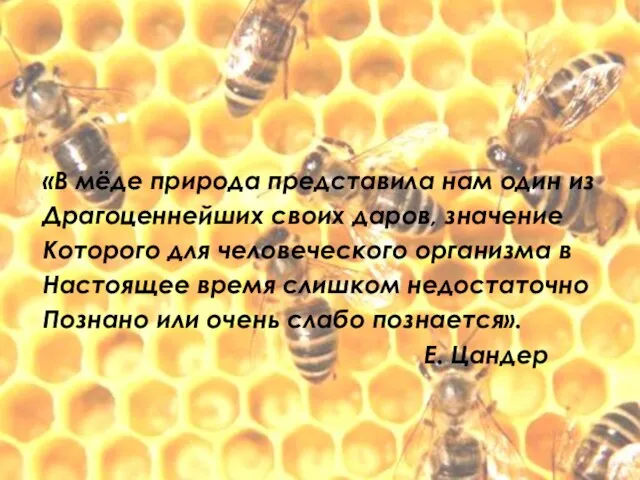 «В мёде природа представила нам один из Драгоценнейших своих даров, значение Которого