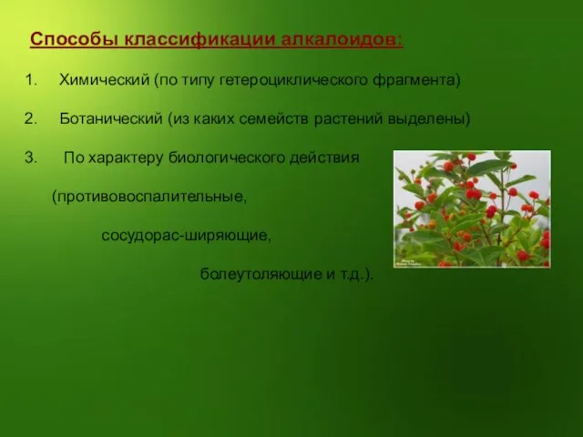 Способы классификации алкалоидов: Химический (по типу гетероциклического фрагмента) Ботанический (из каких семейств