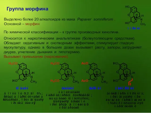 Группа морфина Выделено более 20 алкалоидов из мака Papaver somniferum . Основной