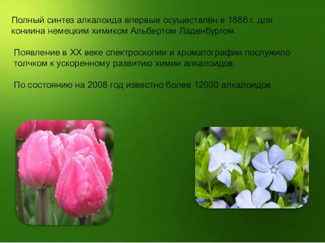 Полный синтез алкалоида впервые осуществлён в 1886 г. для кониина немецким химиком