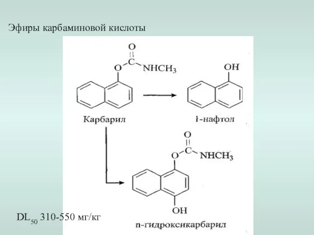 Эфиры карбаминовой кислоты DL50 310-550 мг/кг