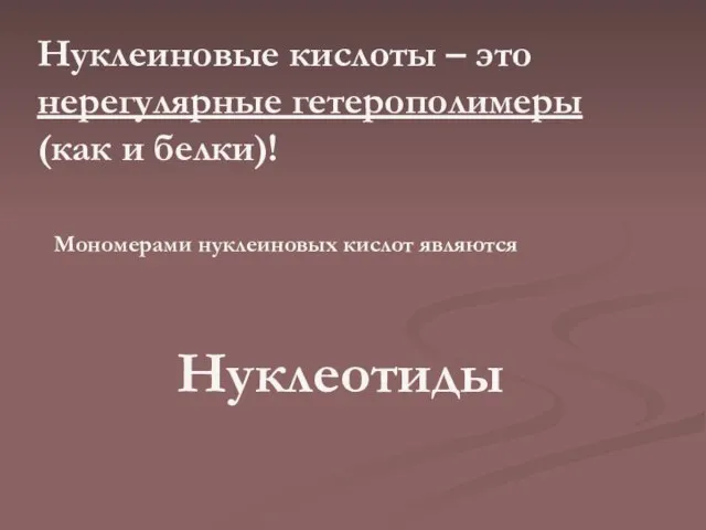 Нуклеиновые кислоты – это нерегулярные гетерополимеры (как и белки)! Мономерами нуклеиновых кислот являются Нуклеотиды