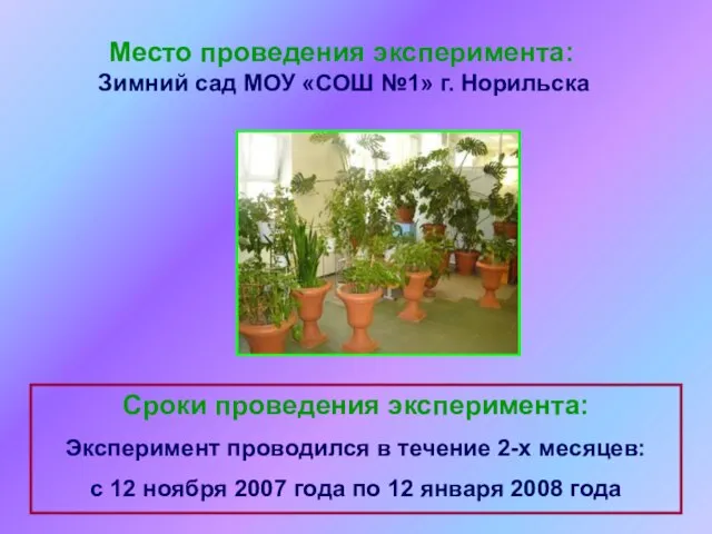 Место проведения эксперимента: Зимний сад МОУ «СОШ №1» г. Норильска Сроки проведения