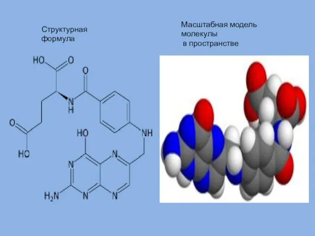 Структурная формула Масштабная модель молекулы в пространстве