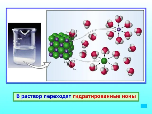 В раствор переходят гидратированные ионы