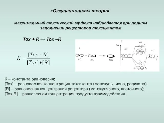 максимальный токсический эффект наблюдается при полном заполнении рецепторов токсикантом «Оккупационная» теория Tox