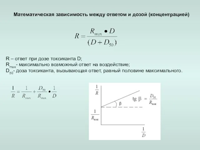 Математическая зависимость между ответом и дозой (концентрацией) R – ответ при дозе