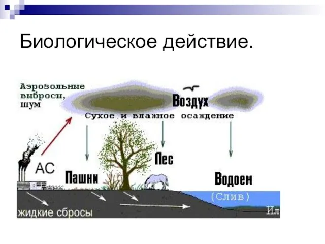 Биологическое действие.