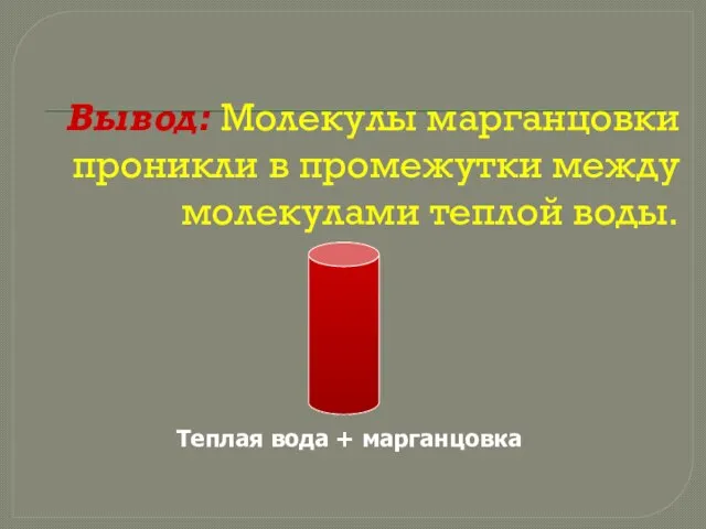 Вывод: Молекулы марганцовки проникли в промежутки между молекулами теплой воды. Теплая вода + марганцовка