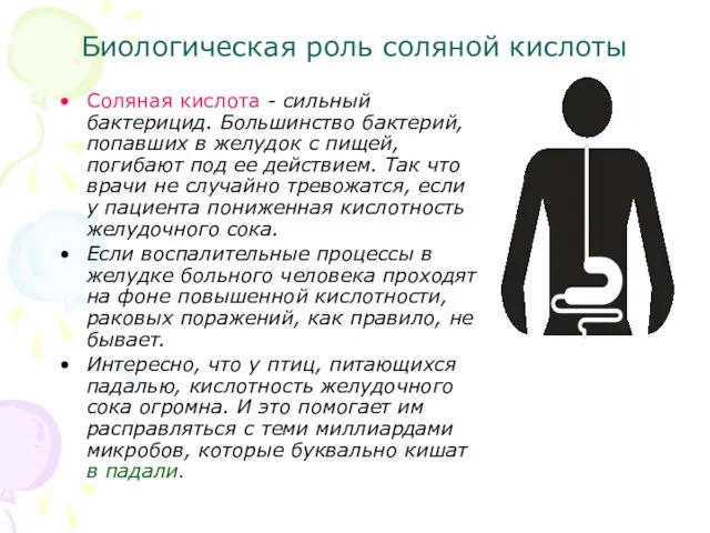 Биологическая роль соляной кислоты Соляная кислота - сильный бактерицид. Большинство бактерий, попавших