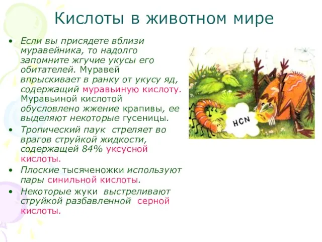 Кислоты в животном мире Если вы присядете вблизи муравейника, то надолго запомните