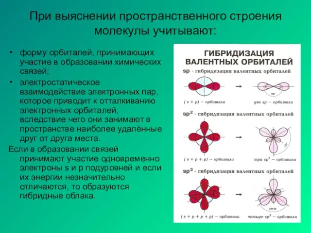 При выяснении пространственного строения молекулы учитывают: форму орбиталей, принимающих участие в образовании