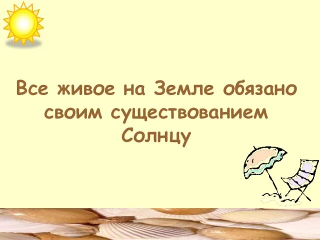 Все живое на Земле обязано своим существованием Солнцу