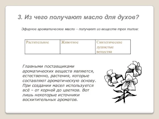 3. Из чего получают масло для духов? Эфирное ароматическое масло – получают