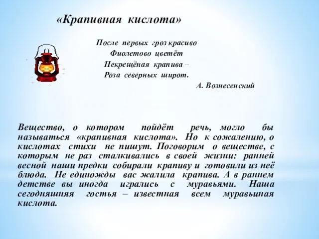 «Крапивная кислота» После первых гроз красиво Фиолетово цветёт Некрещёная крапива – Роза