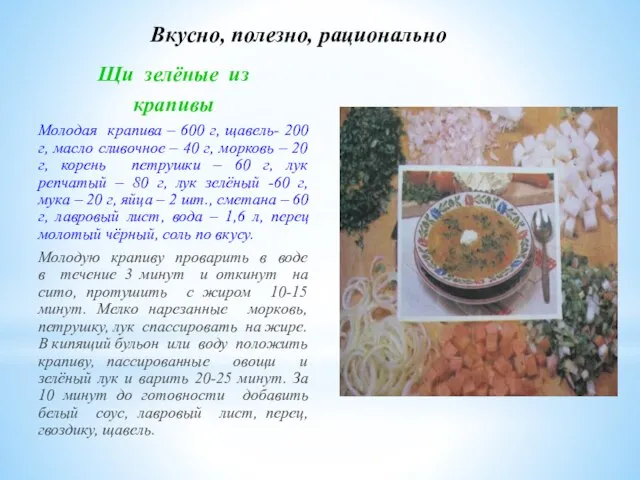 Вкусно, полезно, рационально Щи зелёные из крапивы Молодая крапива – 600 г,