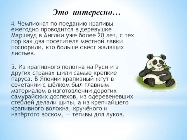 Это интересно… 4. Чемпионат по поеданию крапивы ежегодно проводится в деревушке Маршвуд