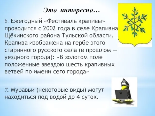 Это интересно… 6. Ежегодный «Фестиваль крапивы» проводится с 2002 года в селе