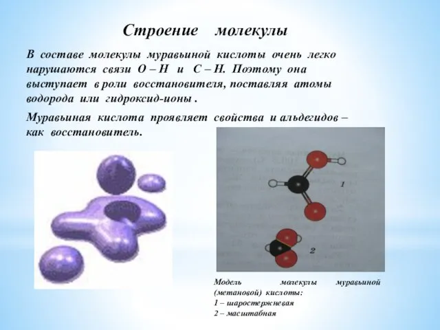 Строение молекулы В составе молекулы муравьиной кислоты очень легко нарушаются связи О