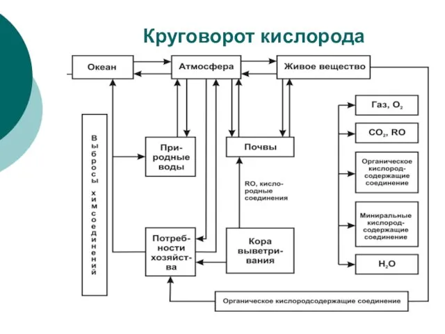 Круговорот кислорода