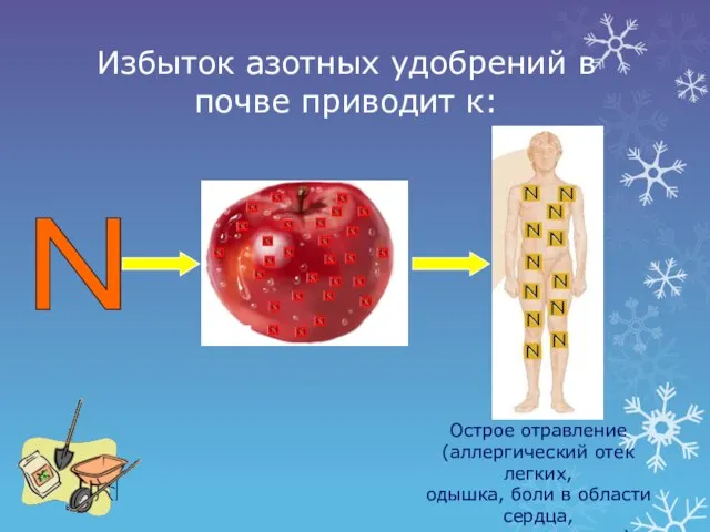 Избыток азотных удобрений в почве приводит к: N Острое отравление (аллергический отек