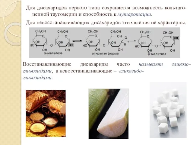 Для дисахаридов первого типа сохраняется возможность кольчато-цепной таутомерии и способность к мутаротации.