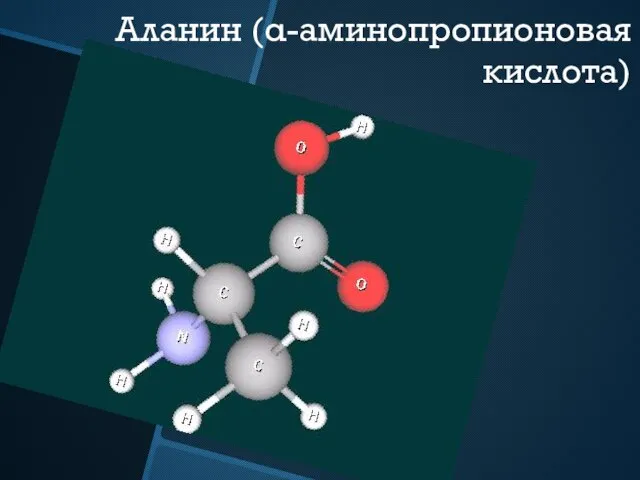 Аланин (α-аминопропионовая кислота)