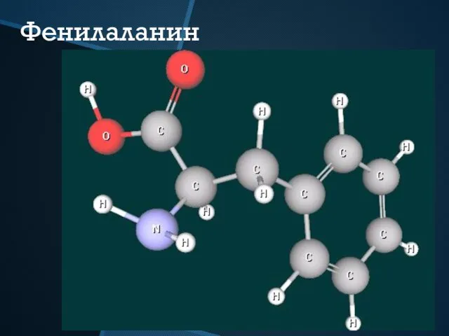 Фенилаланин