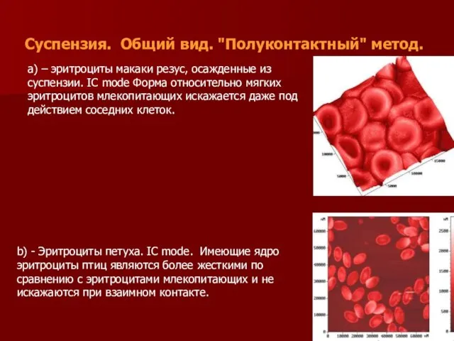 Суспензия. Общий вид. "Полуконтактный" метод. a) – эритроциты макаки резус, осажденные из