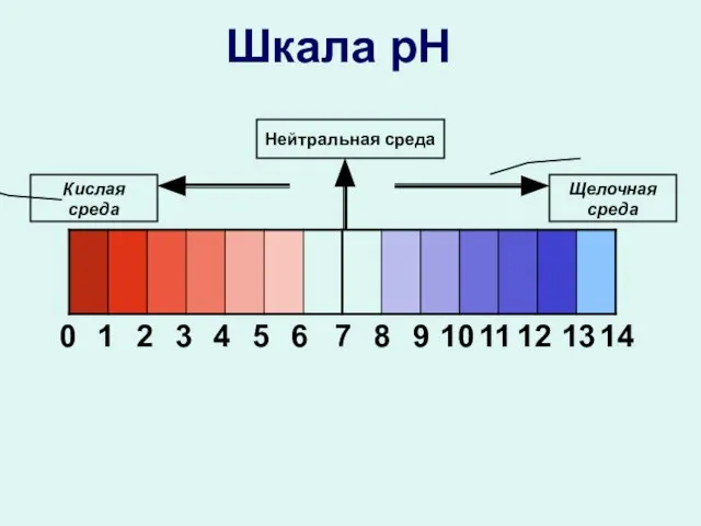 Шкала рН 0 1 2 3 4 5 7 6 8 9