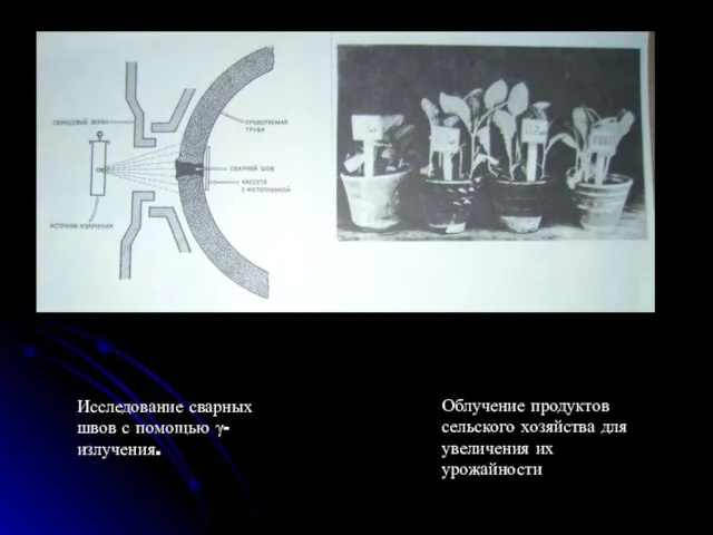 Исследование сварных швов с помощью γ-излучения. Облучение продуктов сельского хозяйства для увеличения их урожайности