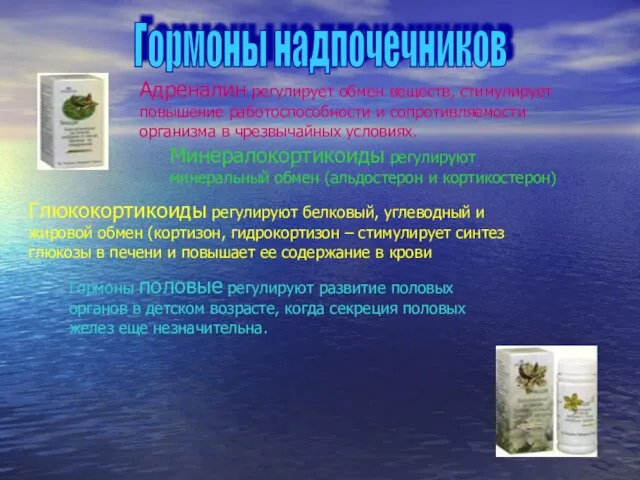 Гормоны надпочечников Адреналин регулирует обмен веществ, стимулирует повышение работоспособности и сопротивляемости организма