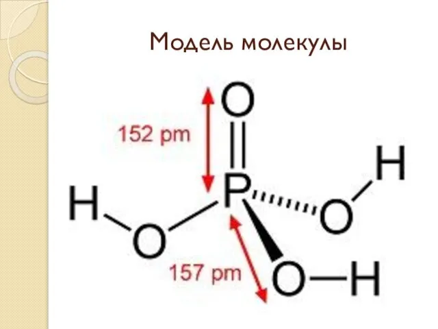 Модель молекулы