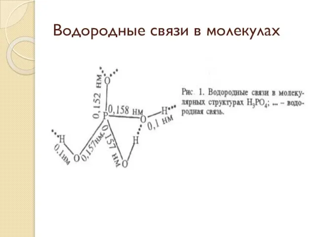 Водородные связи в молекулах