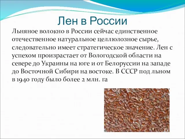 Лен в России Льняное волокно в России сейчас единственное отечественное натуральное целлюлозное
