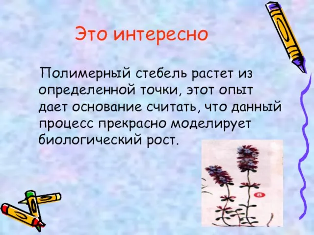 Это интересно Полимерный стебель растет из определенной точки, этот опыт дает основание