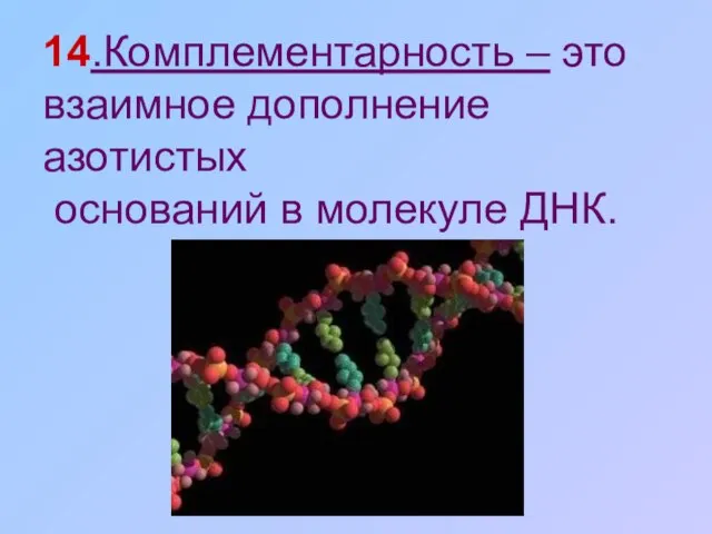 14.Комплементарность – это взаимное дополнение азотистых оснований в молекуле ДНК.