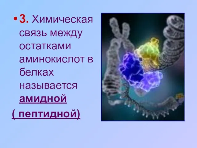 3. Химическая связь между остатками аминокислот в белках называется амидной ( пептидной)