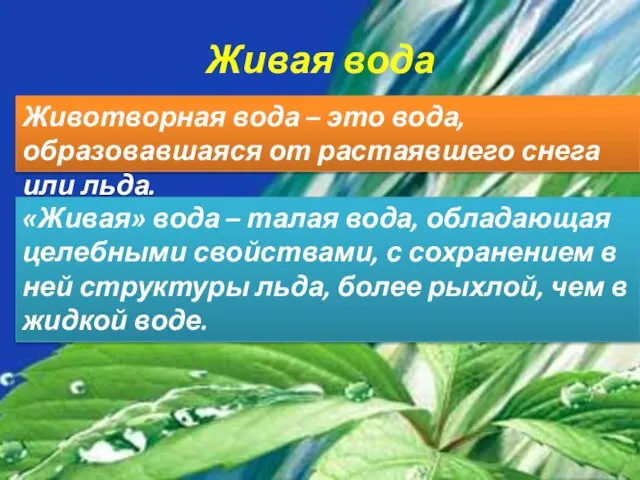 Живая вода Животворная вода – это вода, образовавшаяся от растаявшего снега или