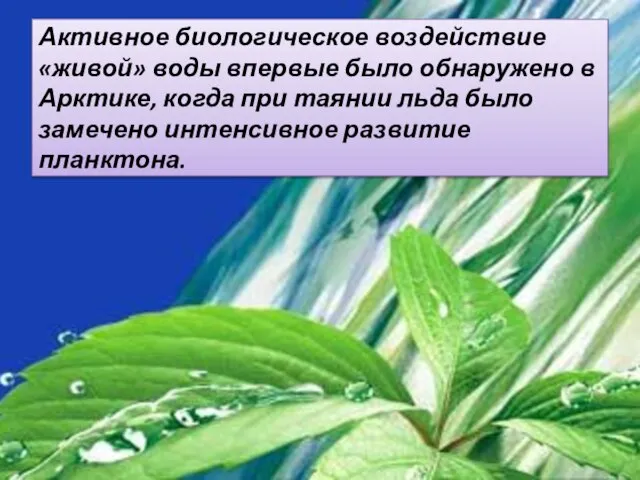 Активное биологическое воздействие «живой» воды впервые было обнаружено в Арктике, когда при