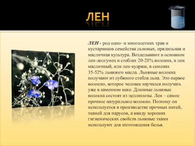 ЛЕН - род одно- и многолетних трав и кустарников семейства льновых, прядильная