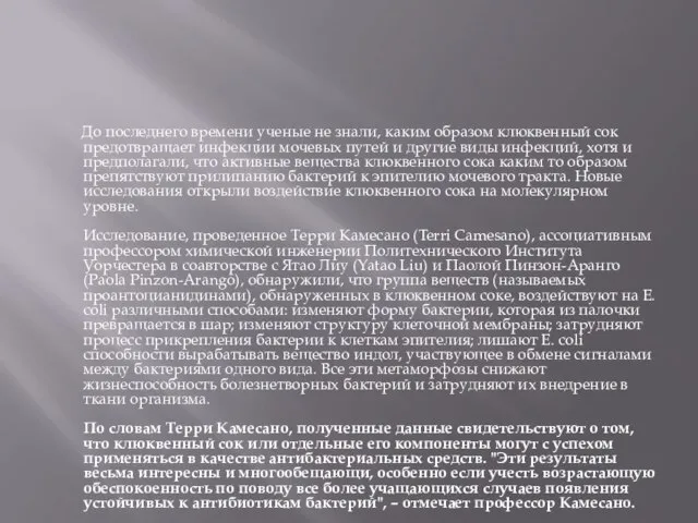 До последнего времени ученые не знали, каким образом клюквенный сок предотвращает инфекции