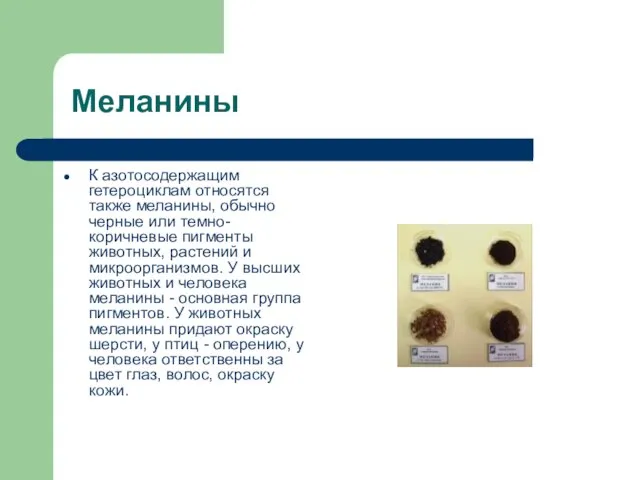 Меланины К азотосодержащим гетероциклам относятся также меланины, обычно черные или темно-коричневые пигменты