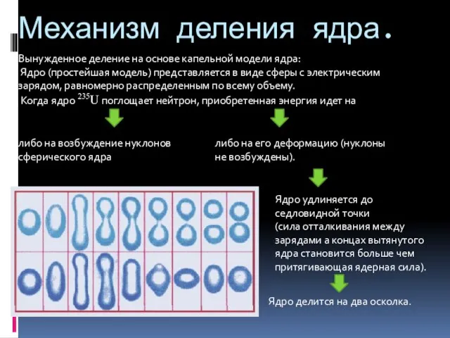 Вынужденное деление на основе капельной модели ядра: Ядро (простейшая модель) представляется в