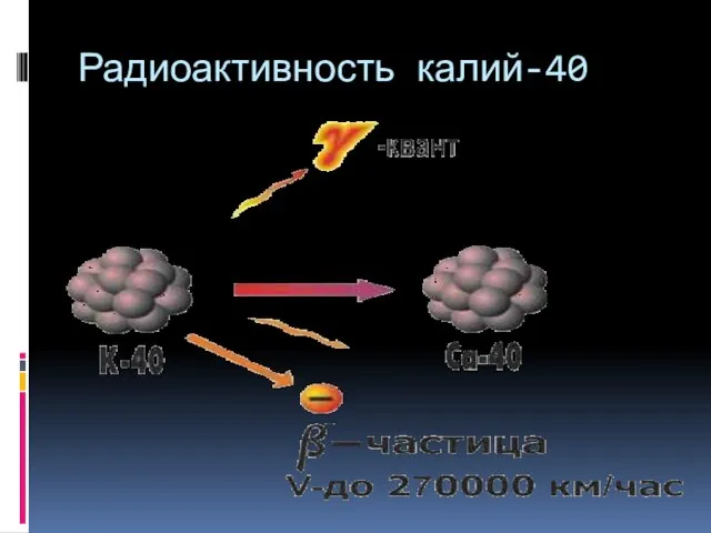 Радиоактивность калий-40